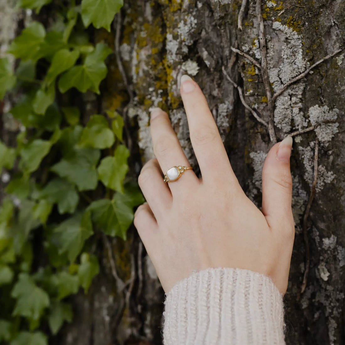 Nacre blanche : vertus, signification et comment en prendre soin